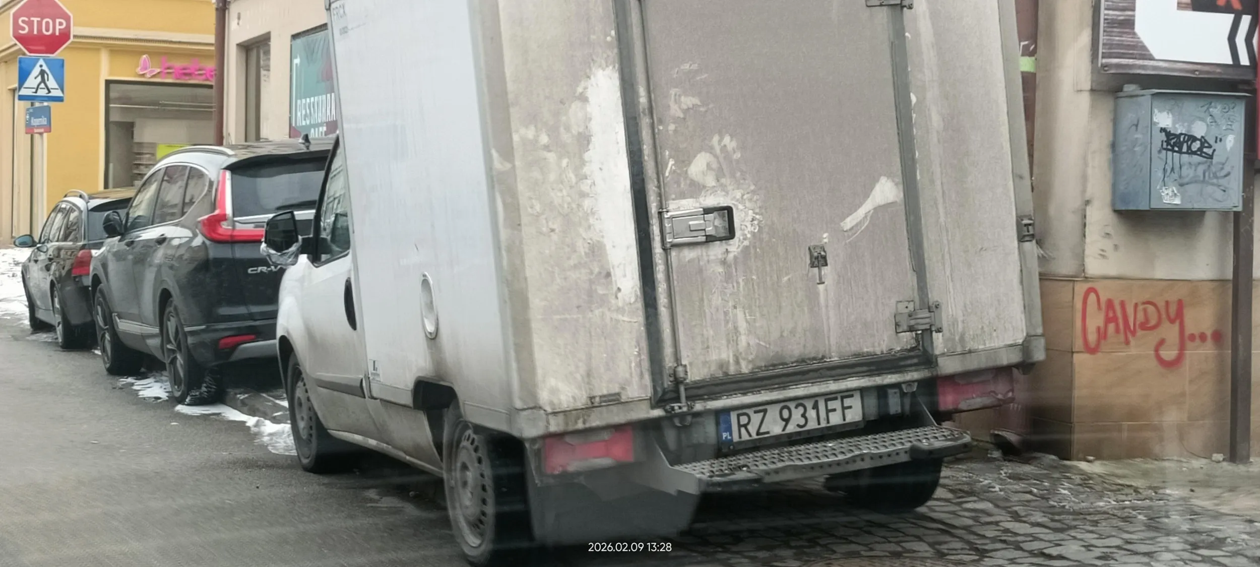 Święta krowa chodnikowa.