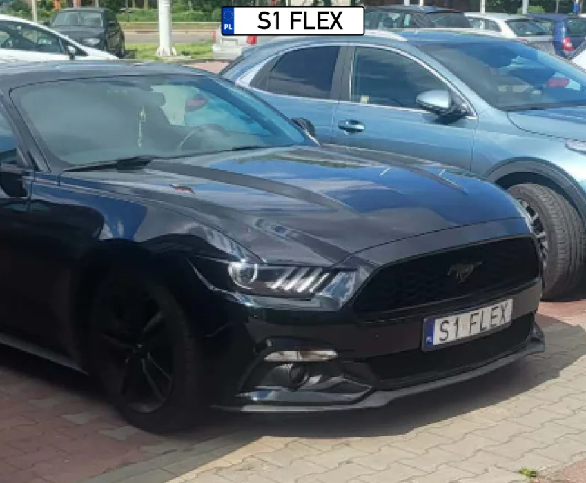 S1 FLEX - numer rejestracyjny