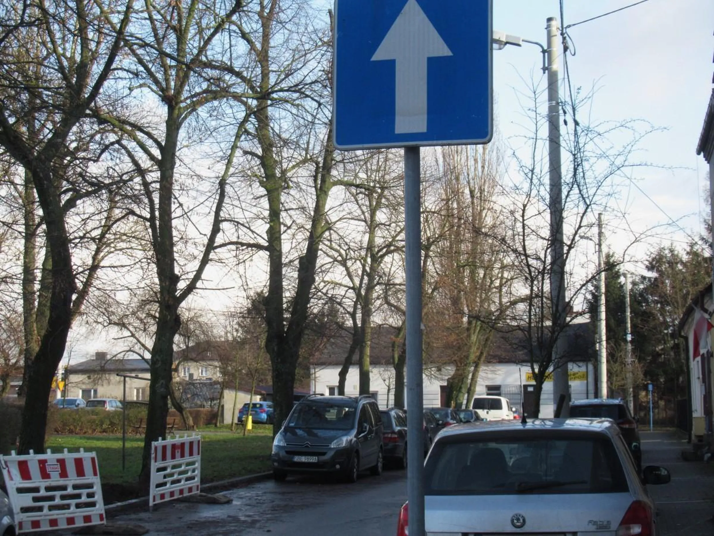 Baran wjechał ulicę jednokierunkową pod prąd.