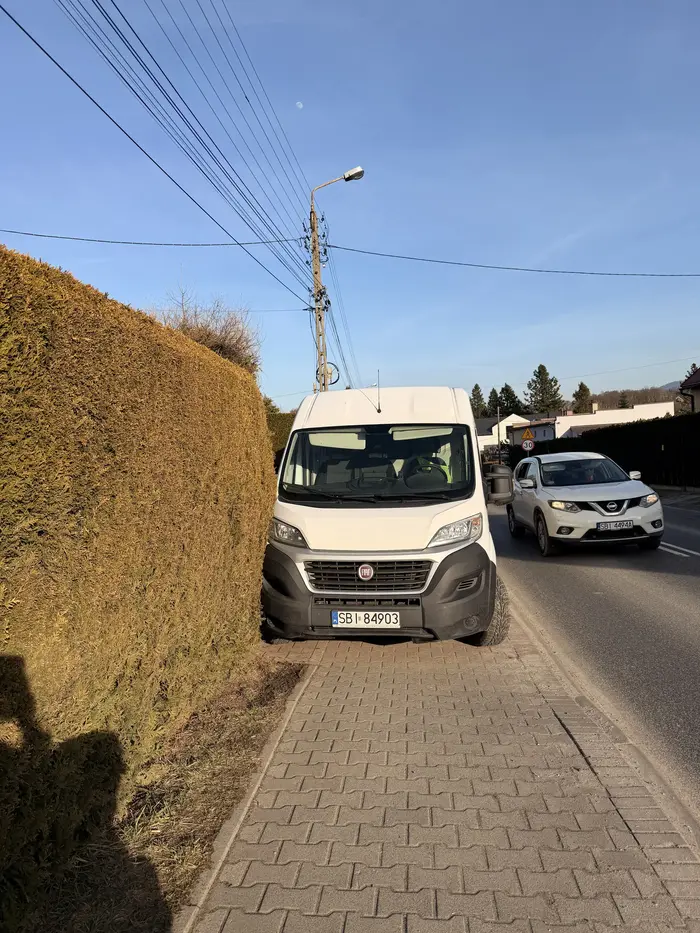 Polecam przemyśleć swoje parkowanie. Za tym samochodem jest łuk, nawet jakbym chciała przejść ulicą nie widzą mnie kierowcy, ja ich tym bardziej. O jakiejkolwiek empatii do osób niepełnosprawnych nie wspomnę. Wstyd!
