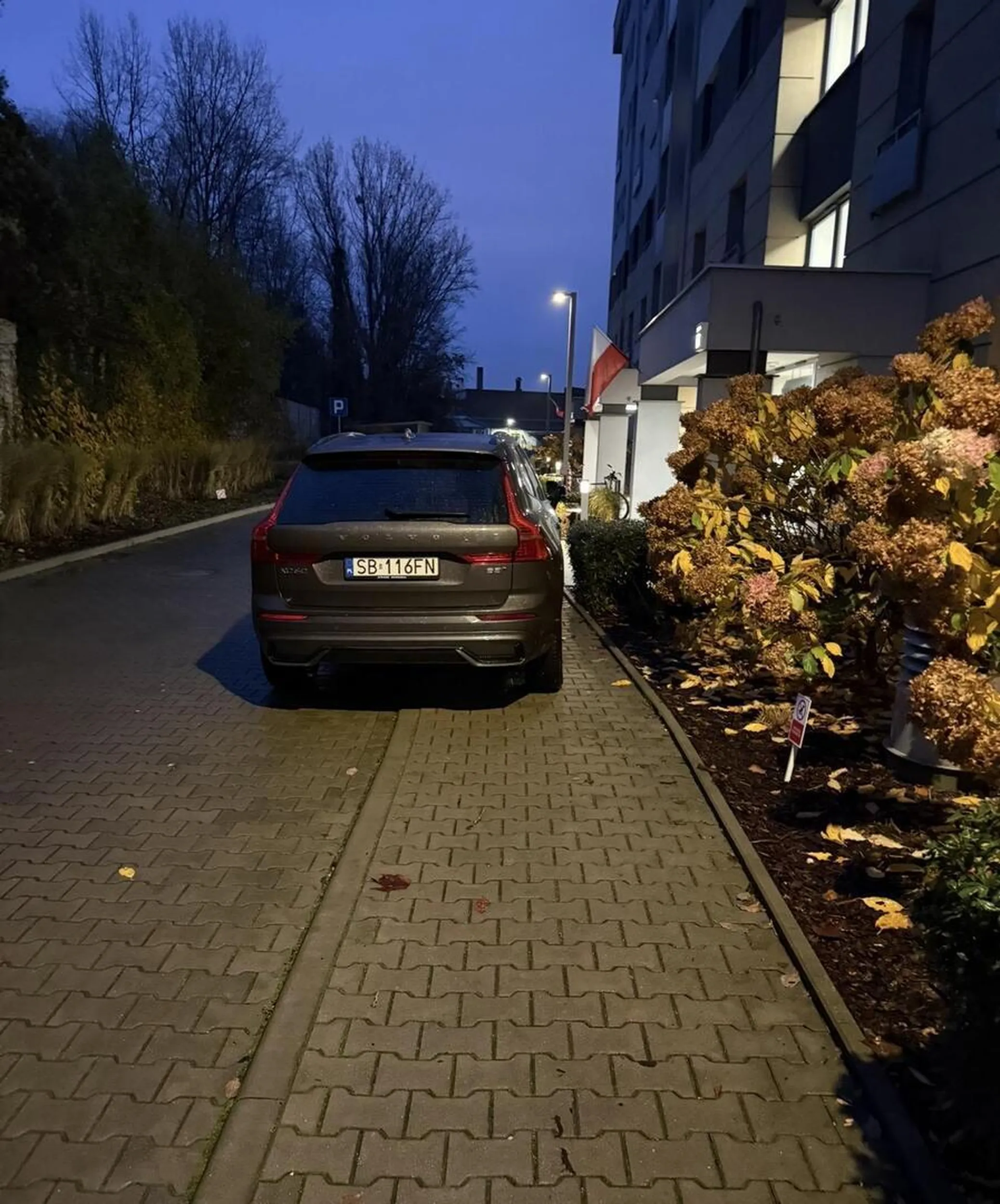 Parkuje nielicząc się z innymk