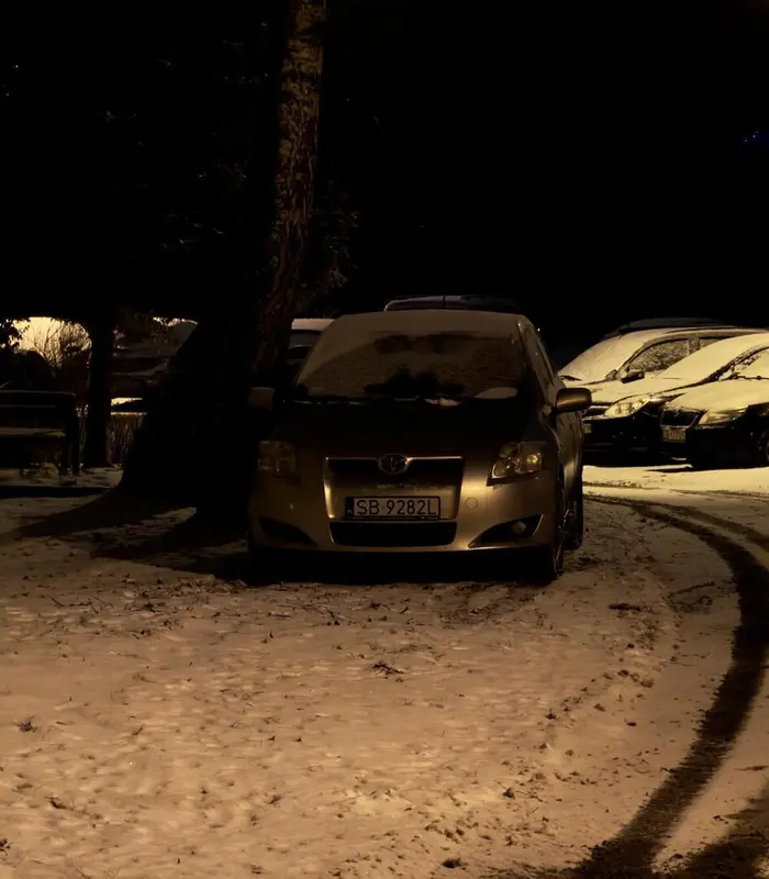 Szkodnik niszczy zieleń, stworzył sobie prywatne miejsce parkingowe na trawie pod samą elewacją bloku pod drzewem.