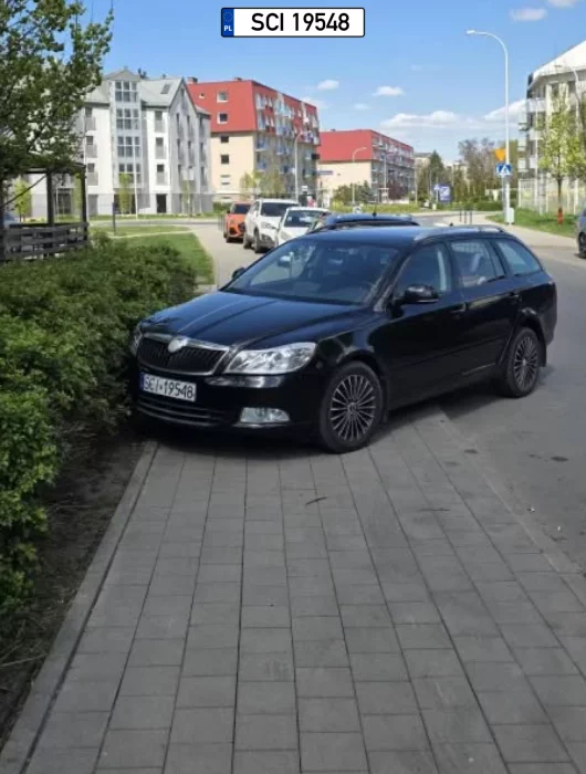 Uwaga: Kierowca może być niepełnosprawny umysłowo