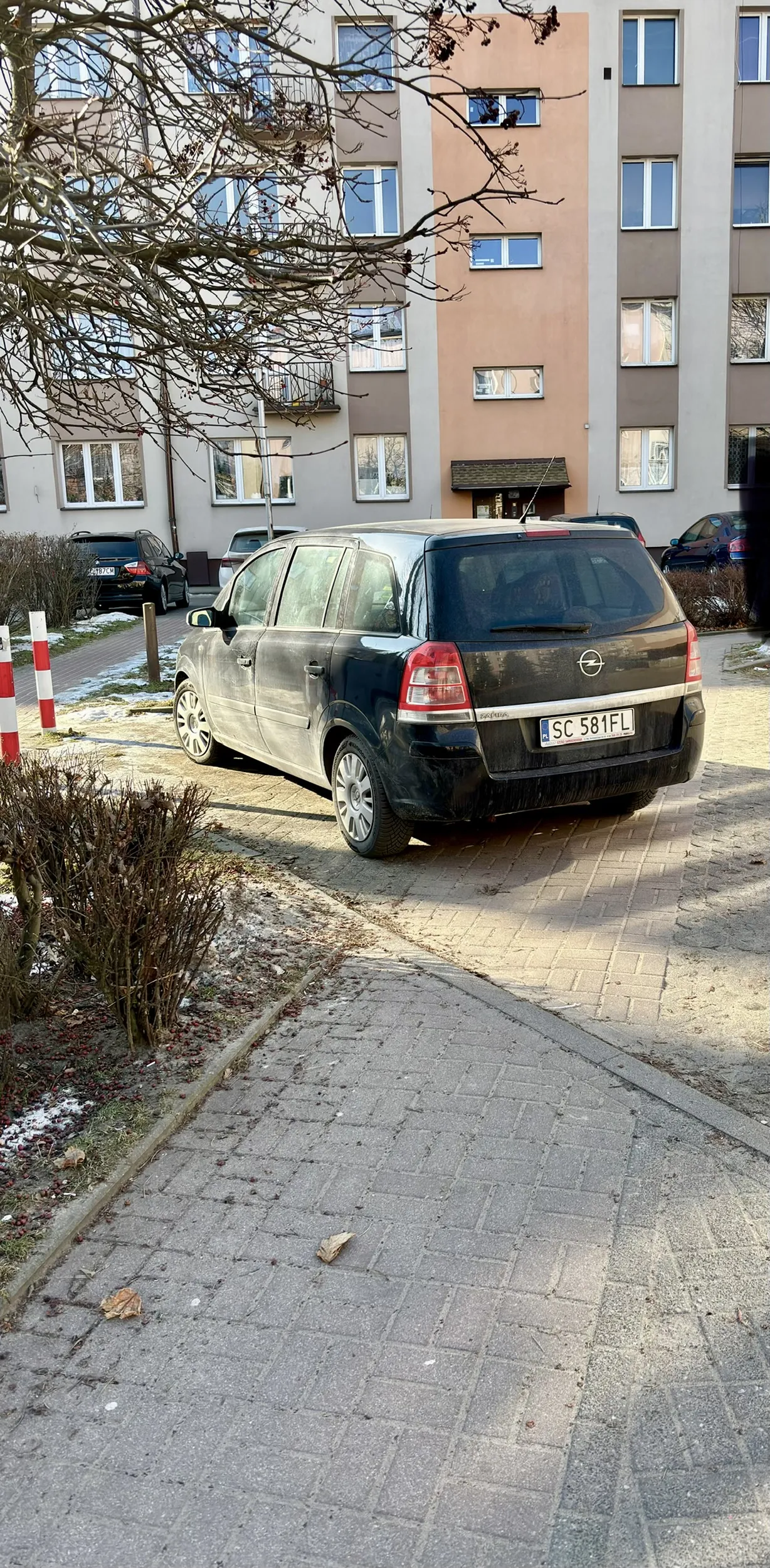 Jest sporo miejsc parkingowych, a jegomość na ciągu pieszym parkuje.