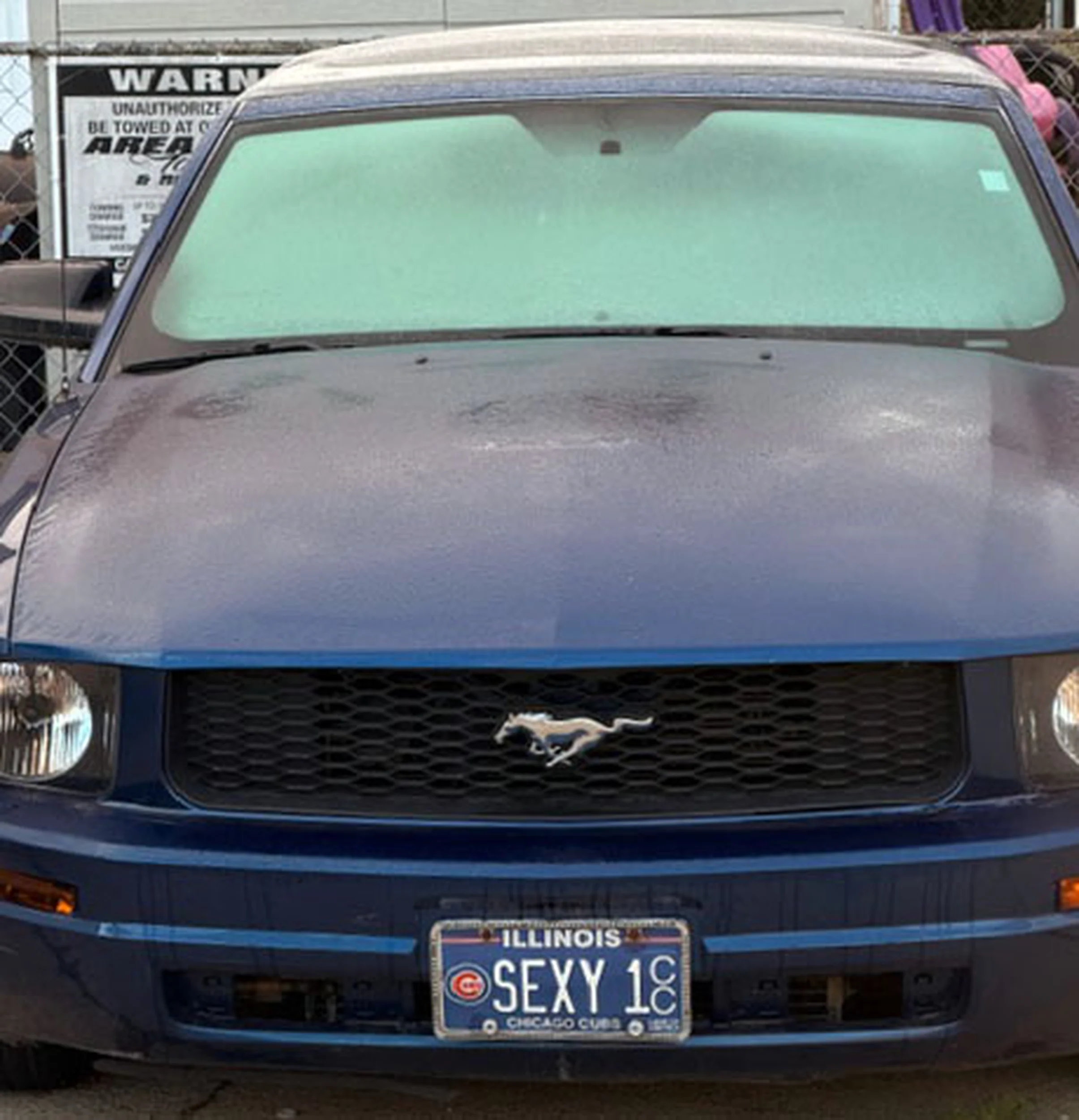 Fajny numer, blacha SEXY 1