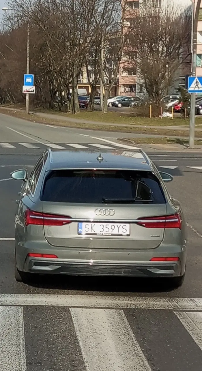 Baran dosyć że nie ustępuje pierwszeństwa to jeszcze potem hamuje auta przed światłami. Przykro że jego matka musiała zjeść tyle śniegu