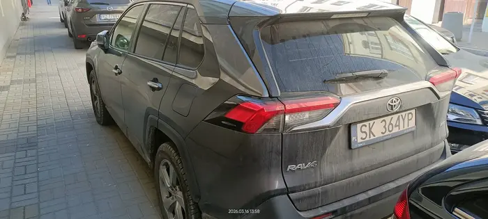 Święta krowa chodnikowa.