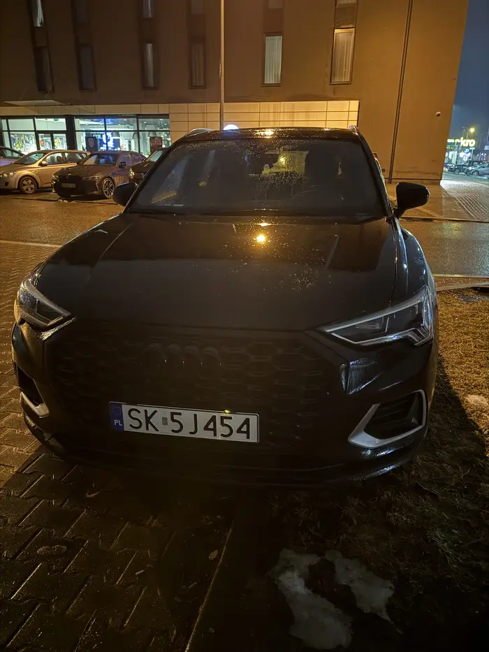 Parkuje na terenie zielonym blokując bramę wjazdową