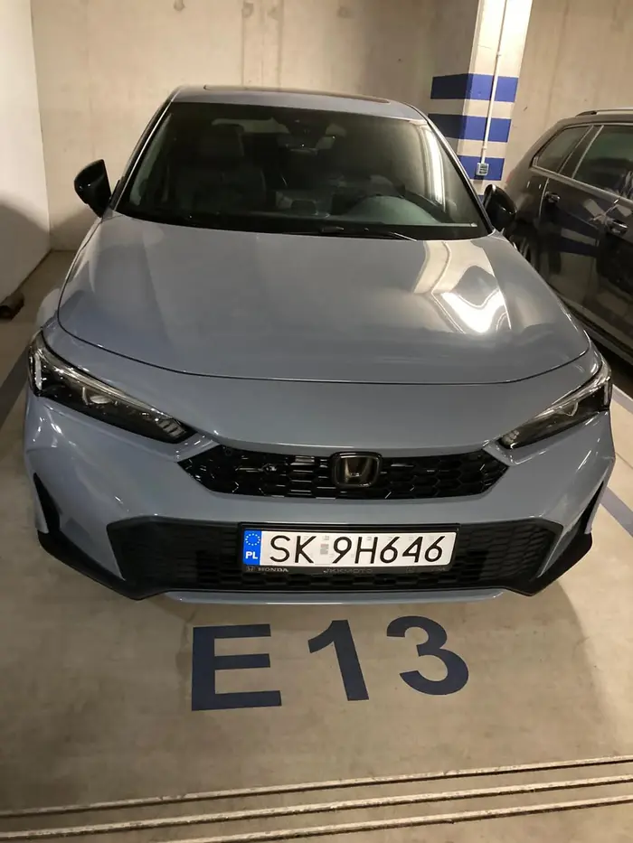 Staje kutas nie na swoim miejscu parkingowym