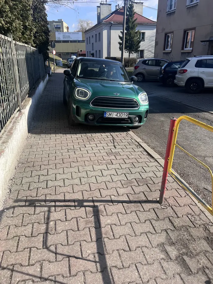 Święta krowa która ma gdzieś bezpieczeństwo dzieci pod szkołą bo przyjechała po swoje