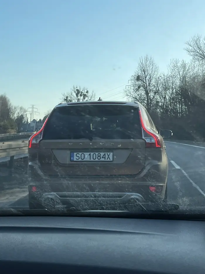 Ciulsko z Sosnowca nie wie nawet że istnieje coś takiego ja ustąp. Uwaga jedyny w mieście neanderatlczyk z ptasim móżdżkiem. Warto podziwiać to wynaturzenie przyrody