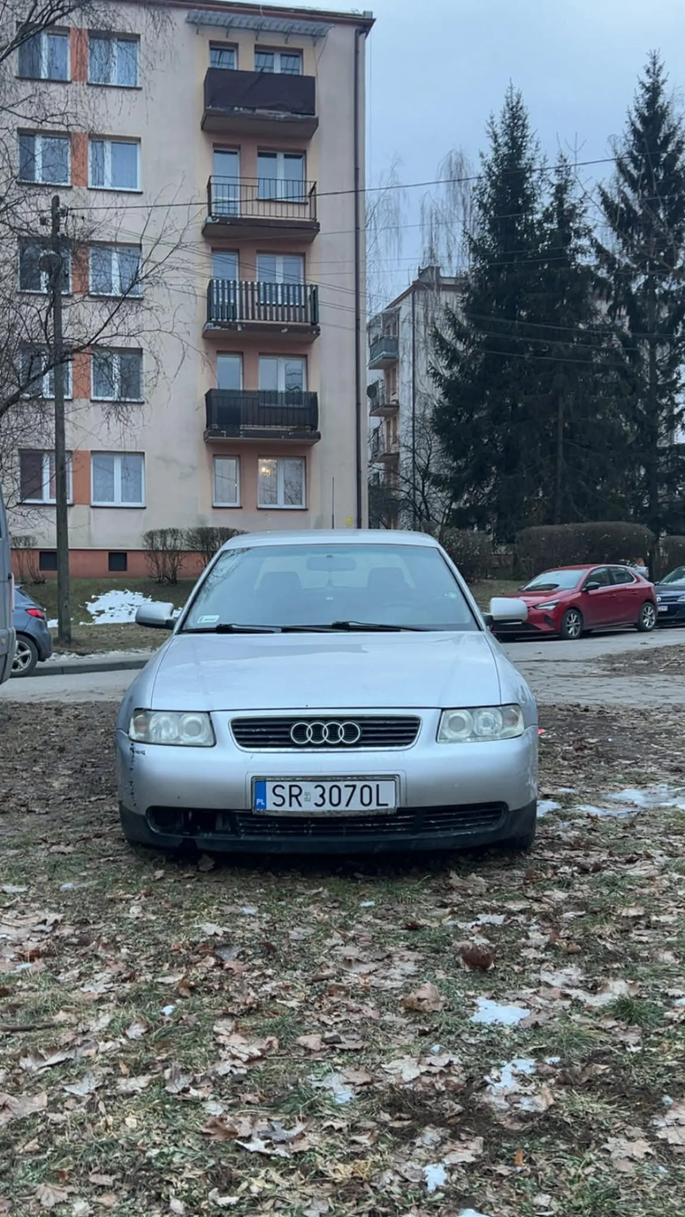 Giga kox kierowca spoko morda