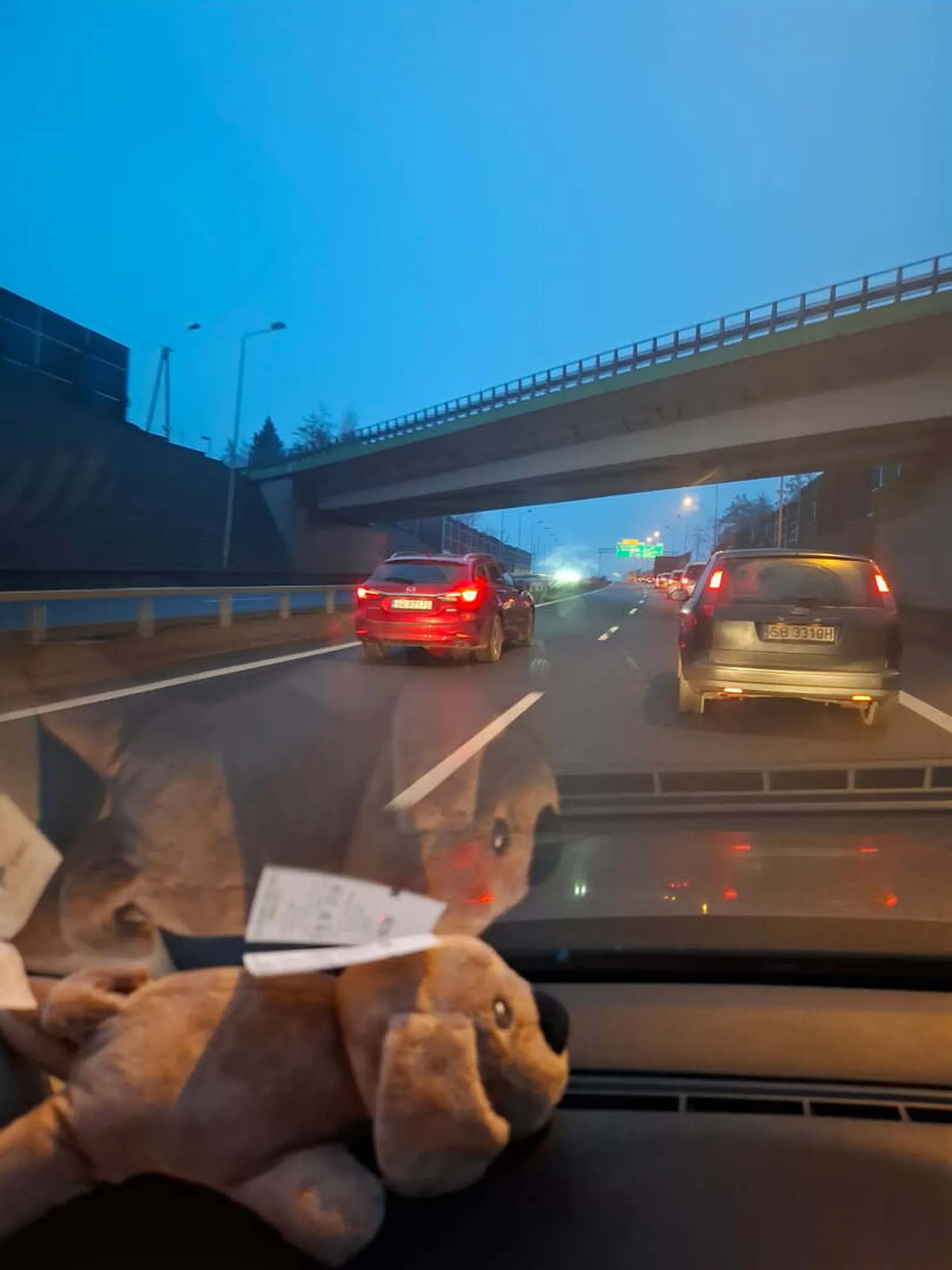 Gość chyba niedawno wrócił z Texasu i wydaje mu się że nadal jest szeryfem. Blokuje przejazd na drodze szybkiego ruchu.