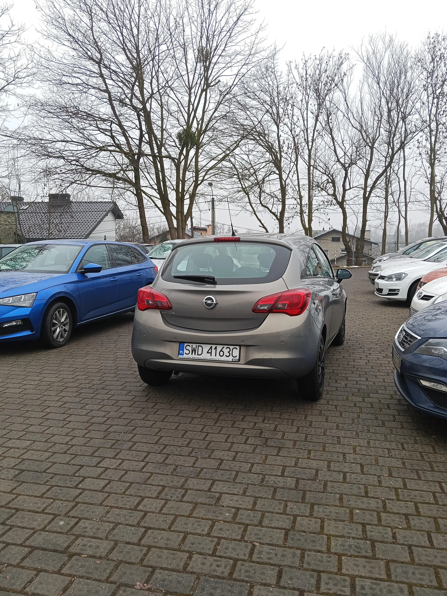 Osioł stoi na środku parkingu i zastawia inne samochody