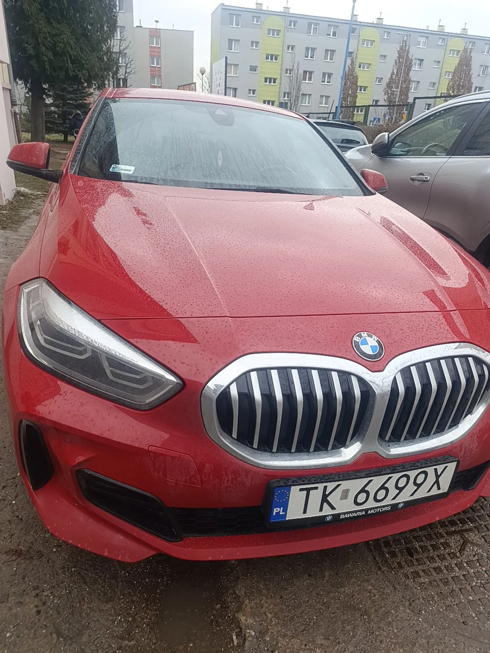 Ciota nie umie parkować