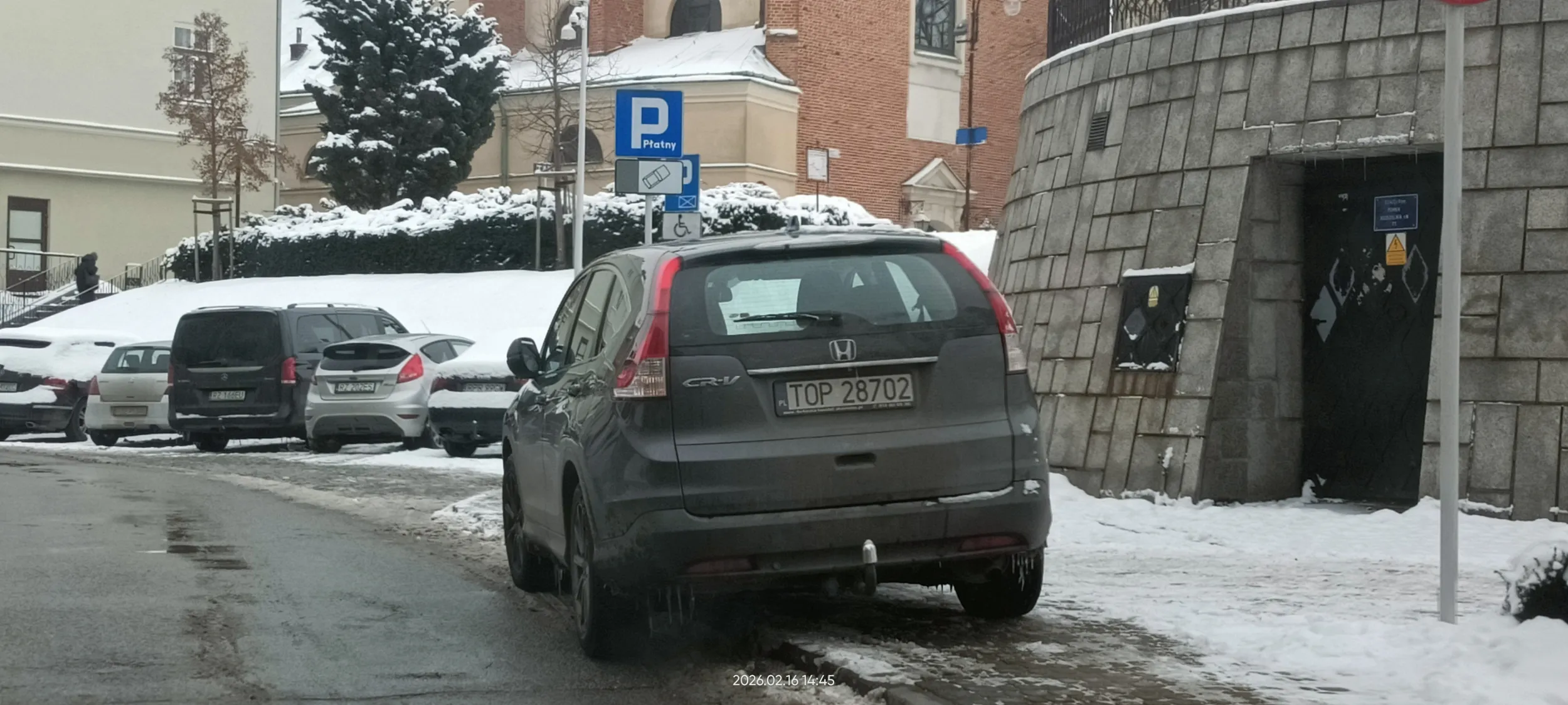 Święta krowa ? chodnikowa