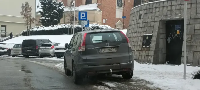 Święta krowa ? chodnikowa