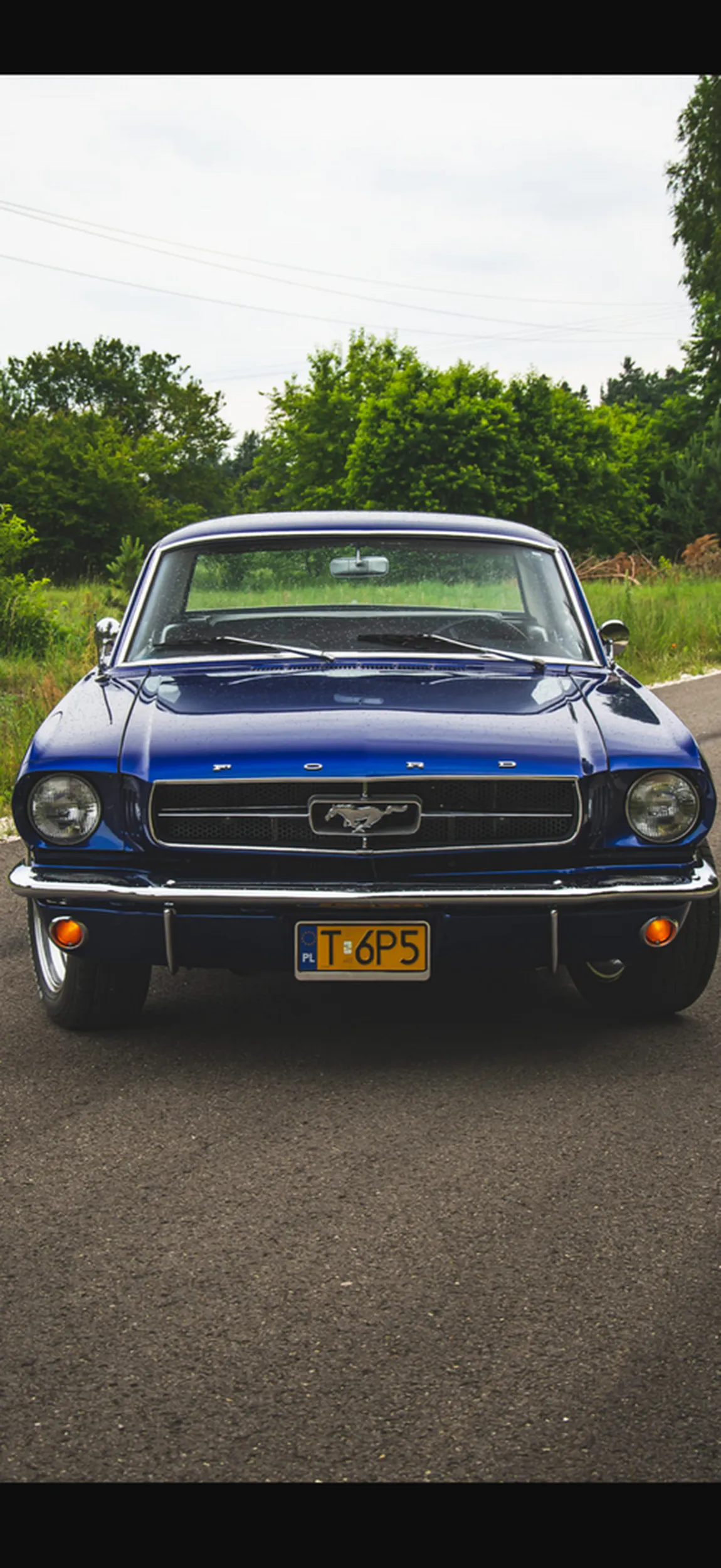 Co zaczepia dziewczyny ze zgniłego mustanga i jeszcze wszędzie dodaje zdjęcie gdzie nie widać rdzy