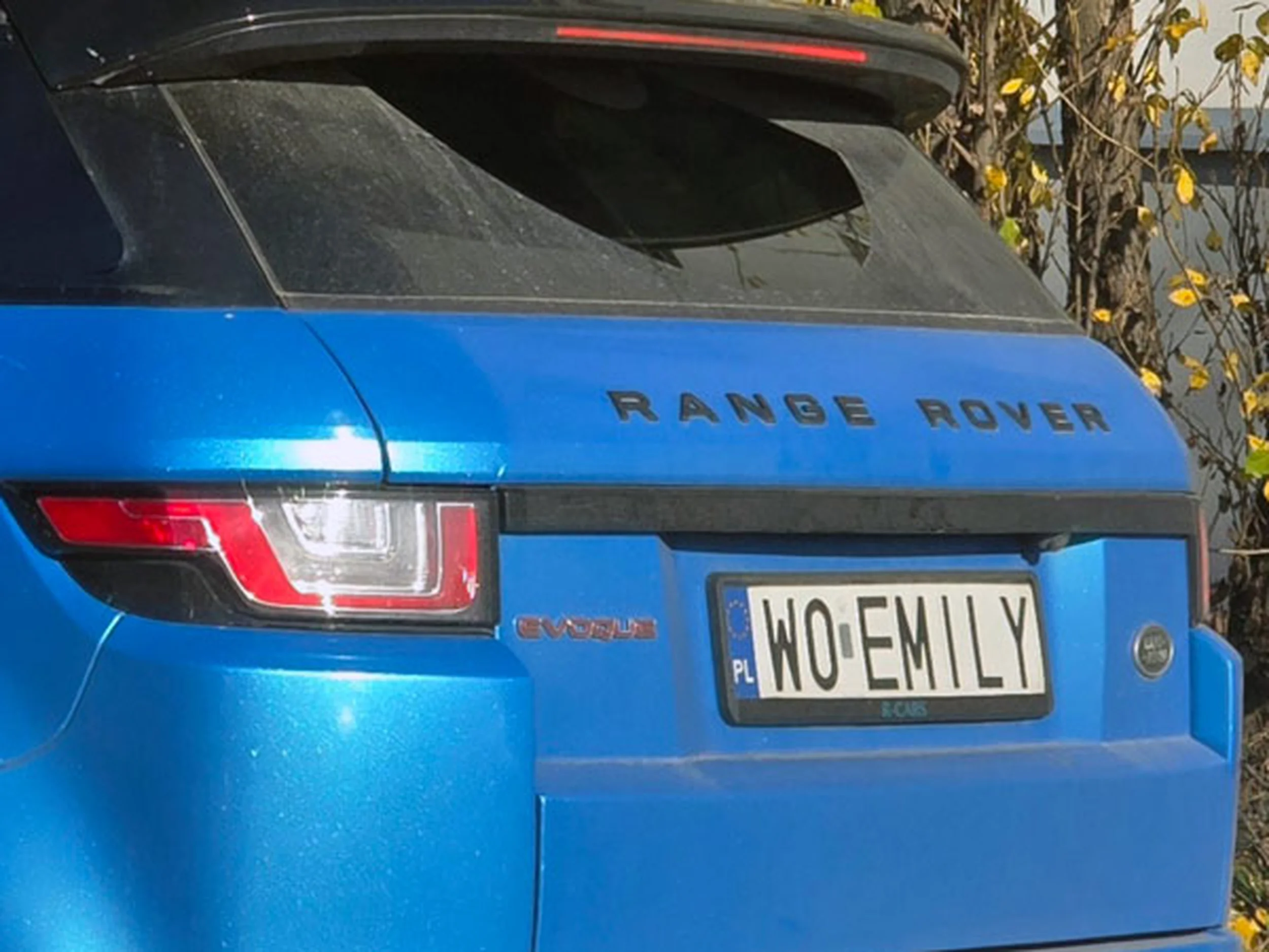 Fajny numer, blacha W0 EMILY