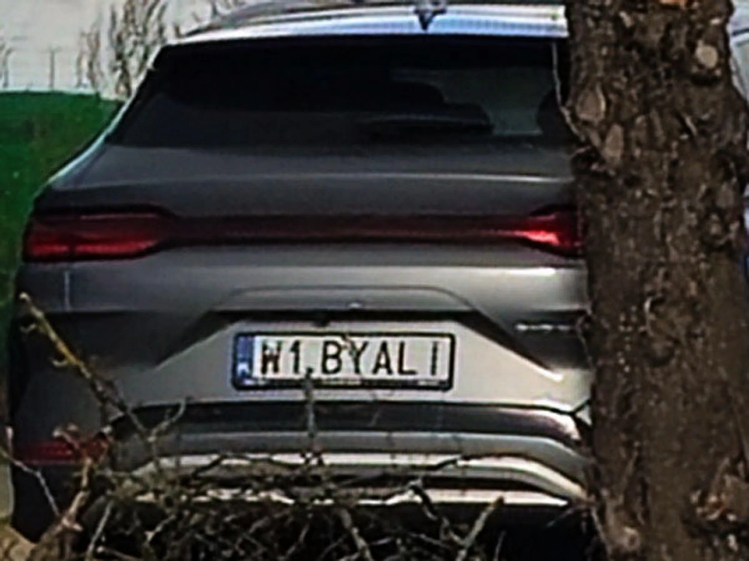 Fajny numer, blacha W1 BYALI