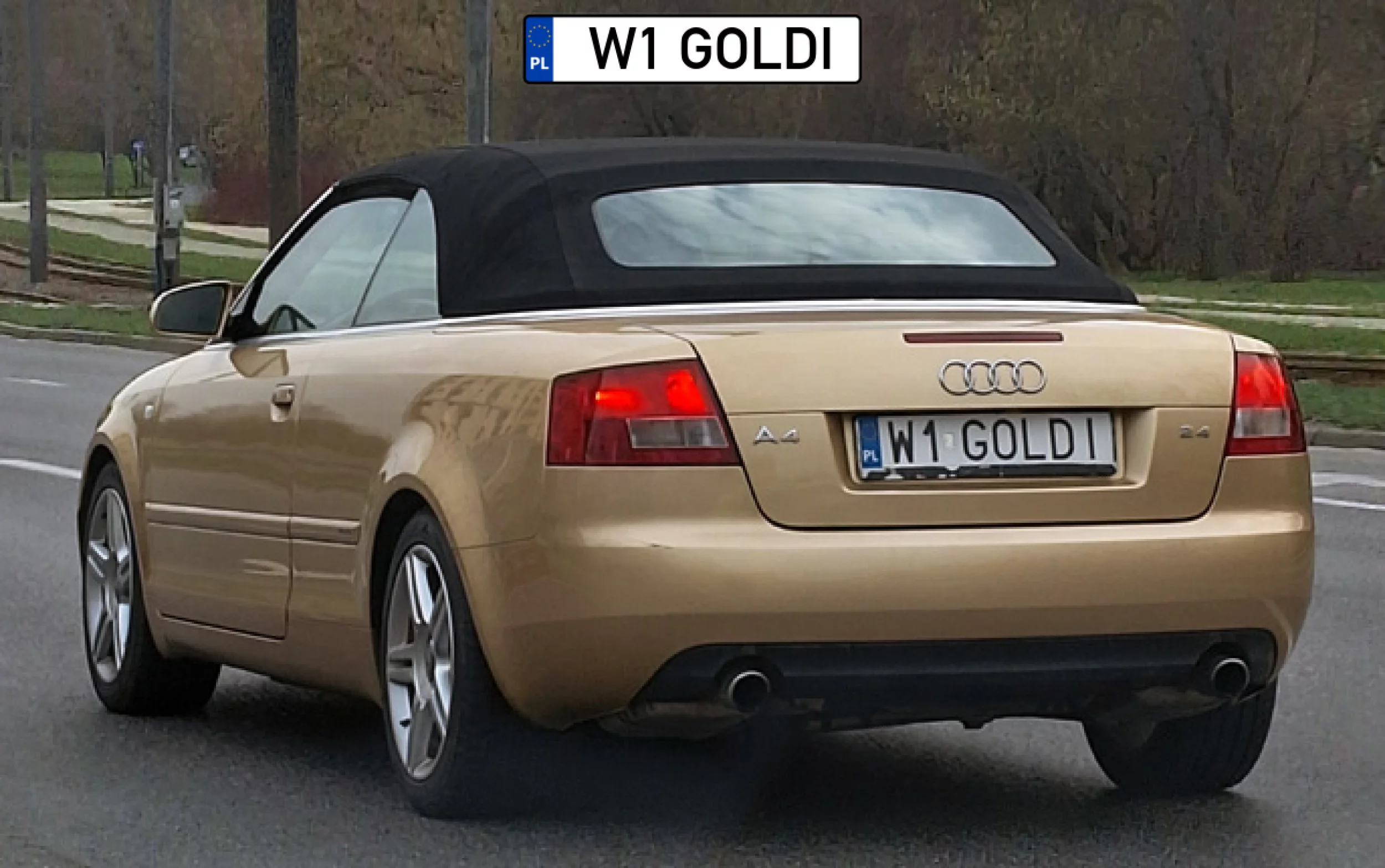 Złociutki ale dach czarny