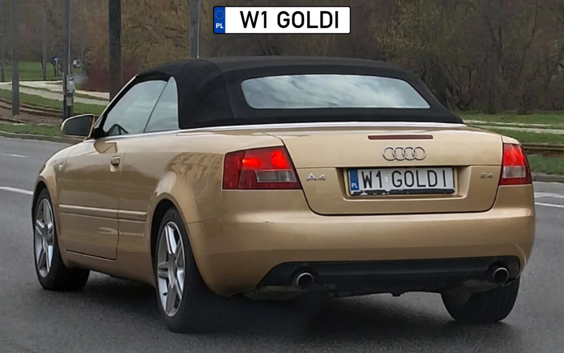 Złociutki ale dach czarny