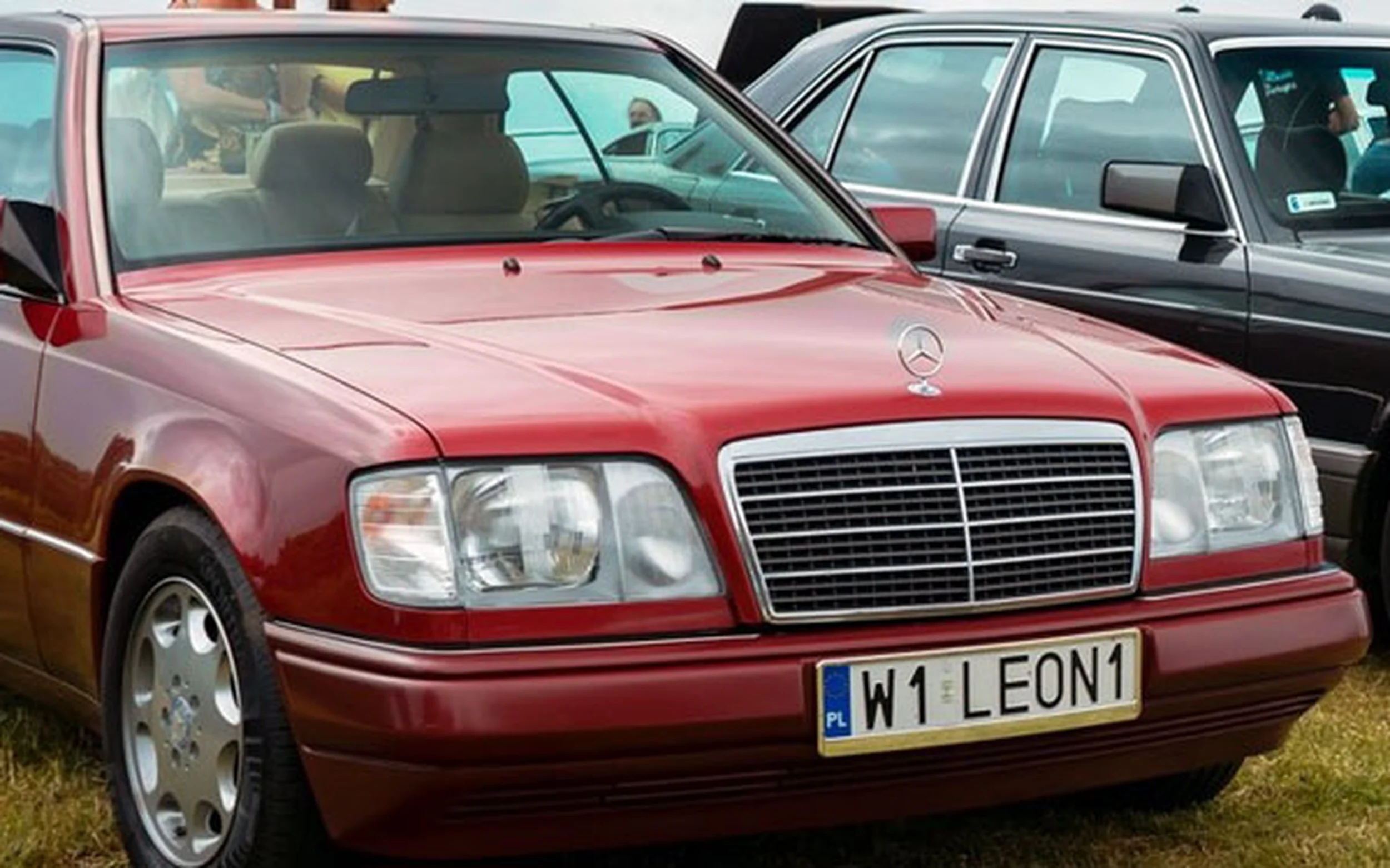 Fajny numer, blacha W1 LEON1