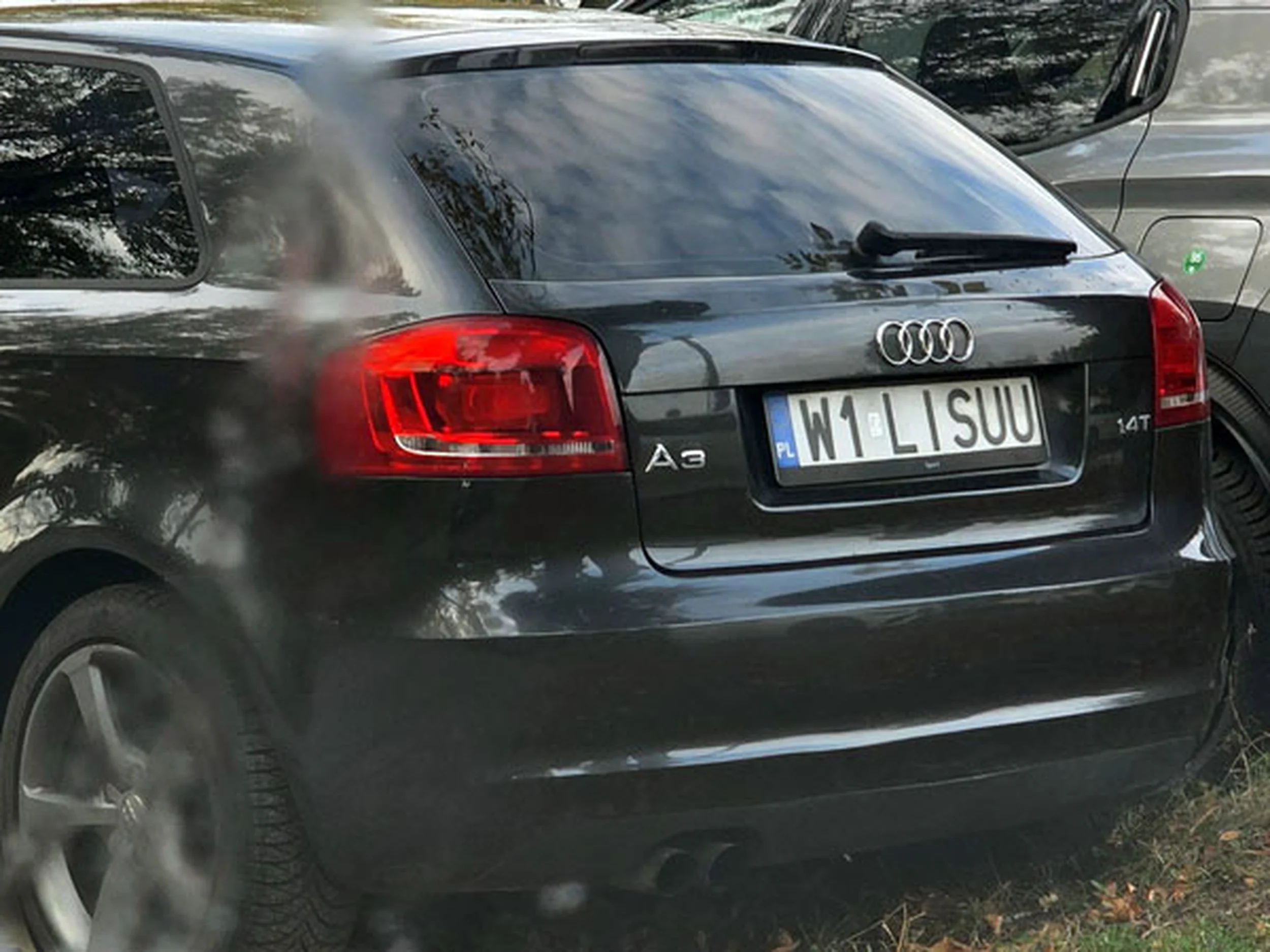 Fajny numer, blacha W1 LISUU