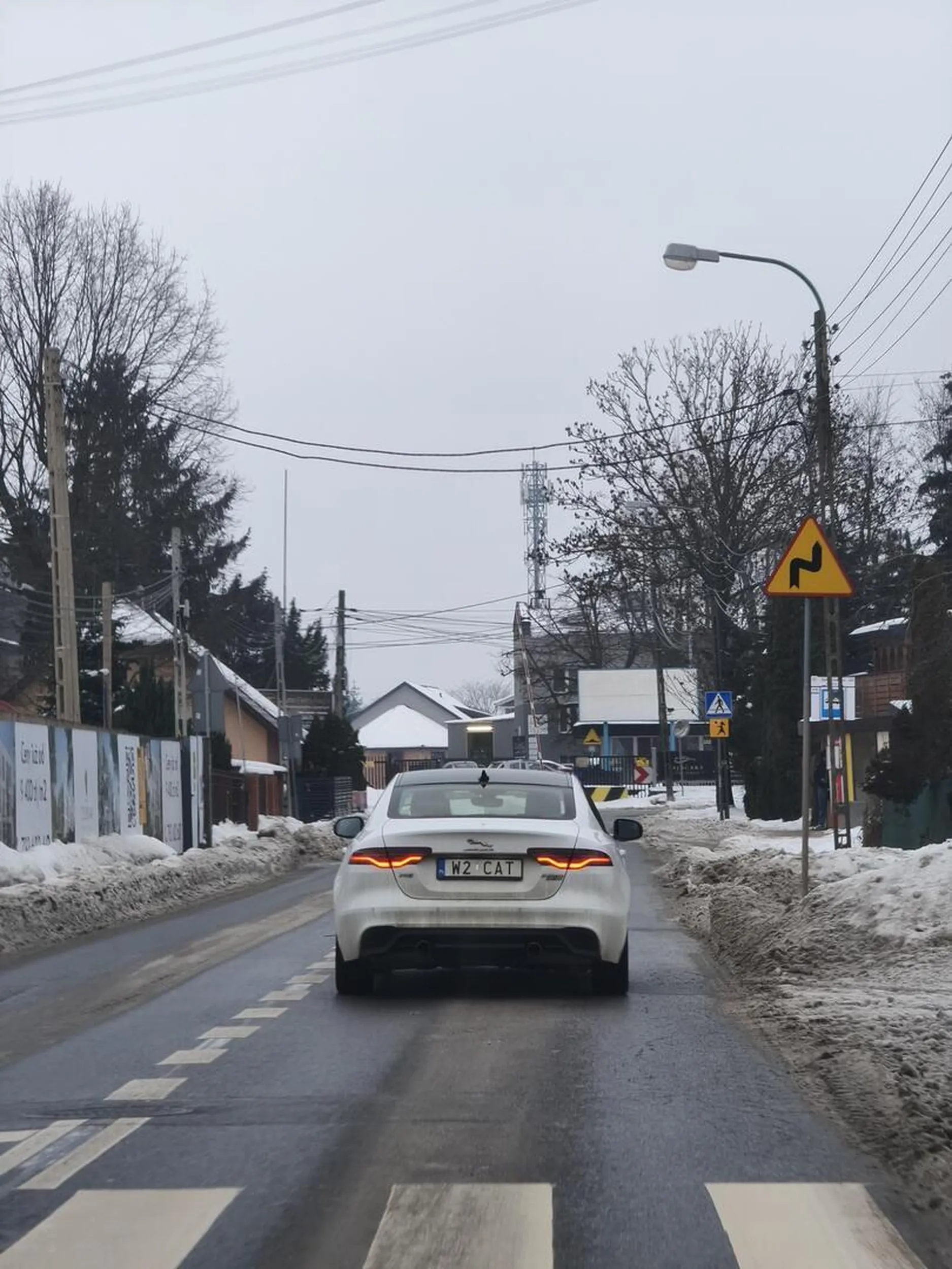 Kierowca Ma Ładno Rejestracja Wygląda Jak Kot