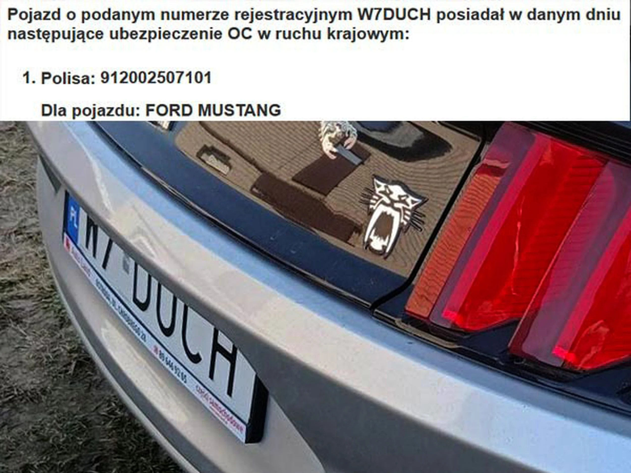 Fajny numer, blacha W7 DUCH