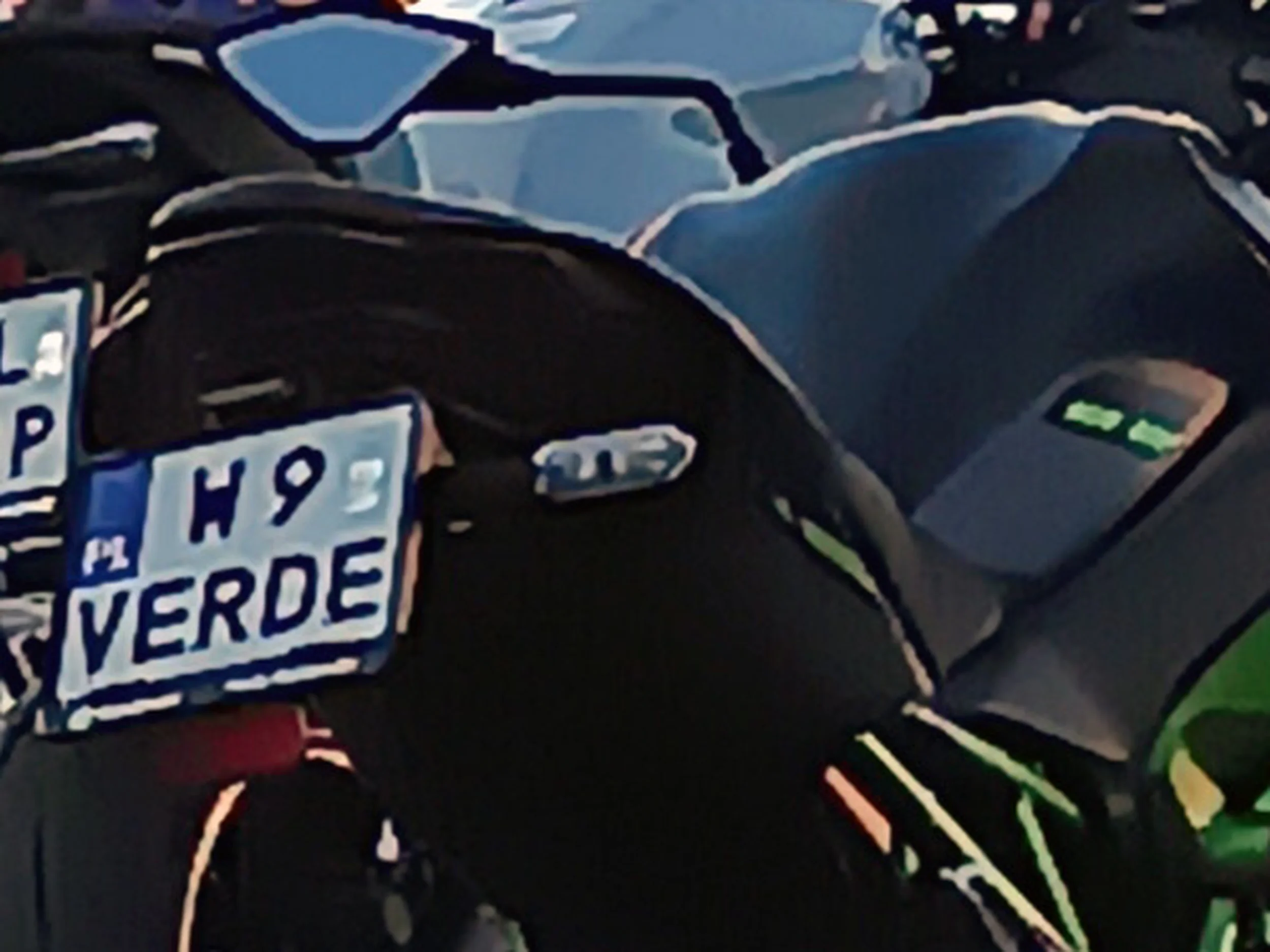 Fajny numer, blacha W9 VERDE