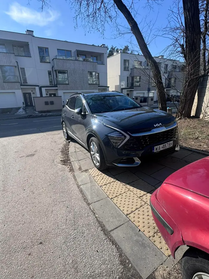 Zastawia chodnik, przejście i stoi w obrębie skrzyżowania. Gratulacje!