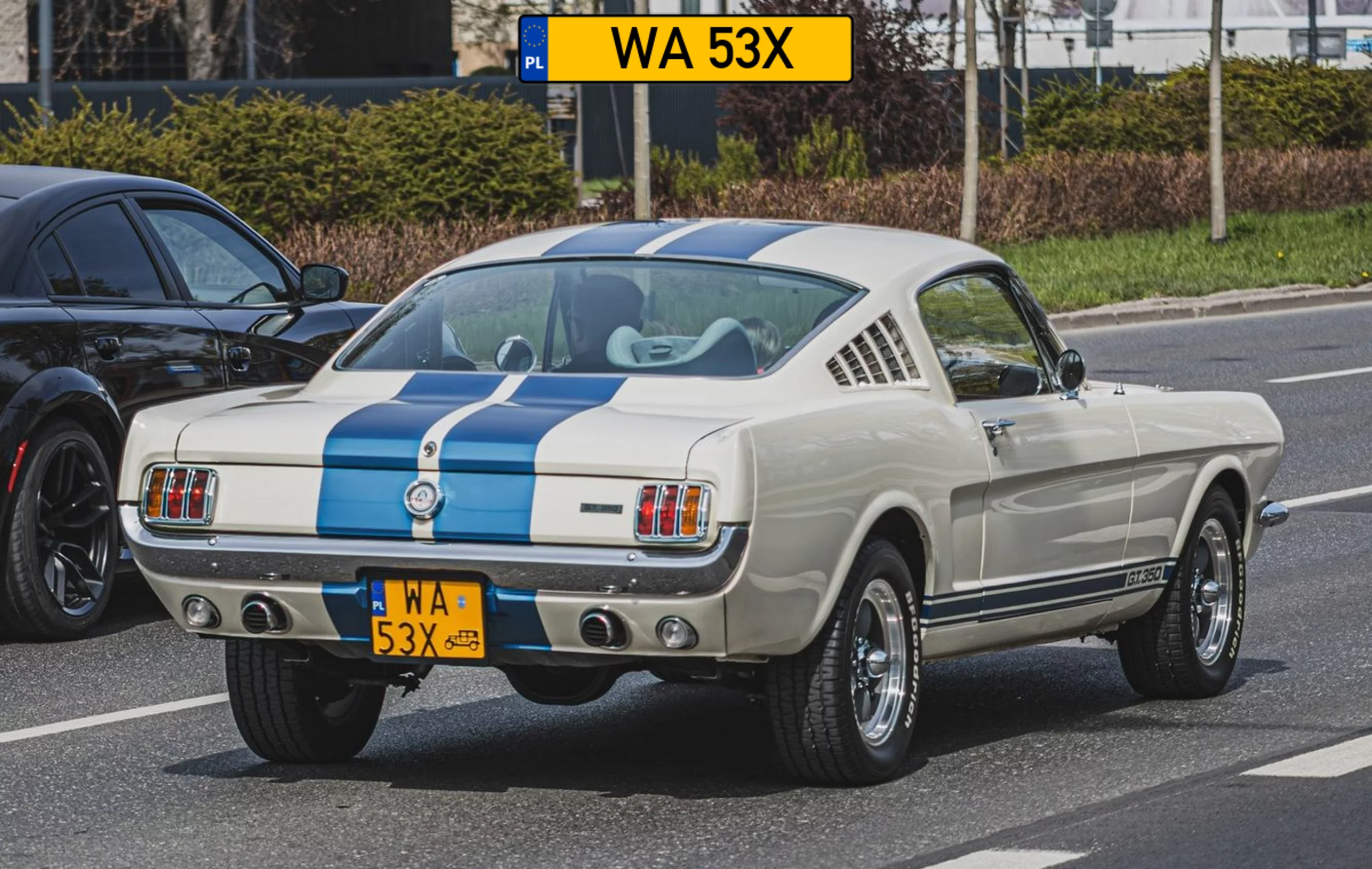 Cooltowy model Ford Mustang Shelby GT350