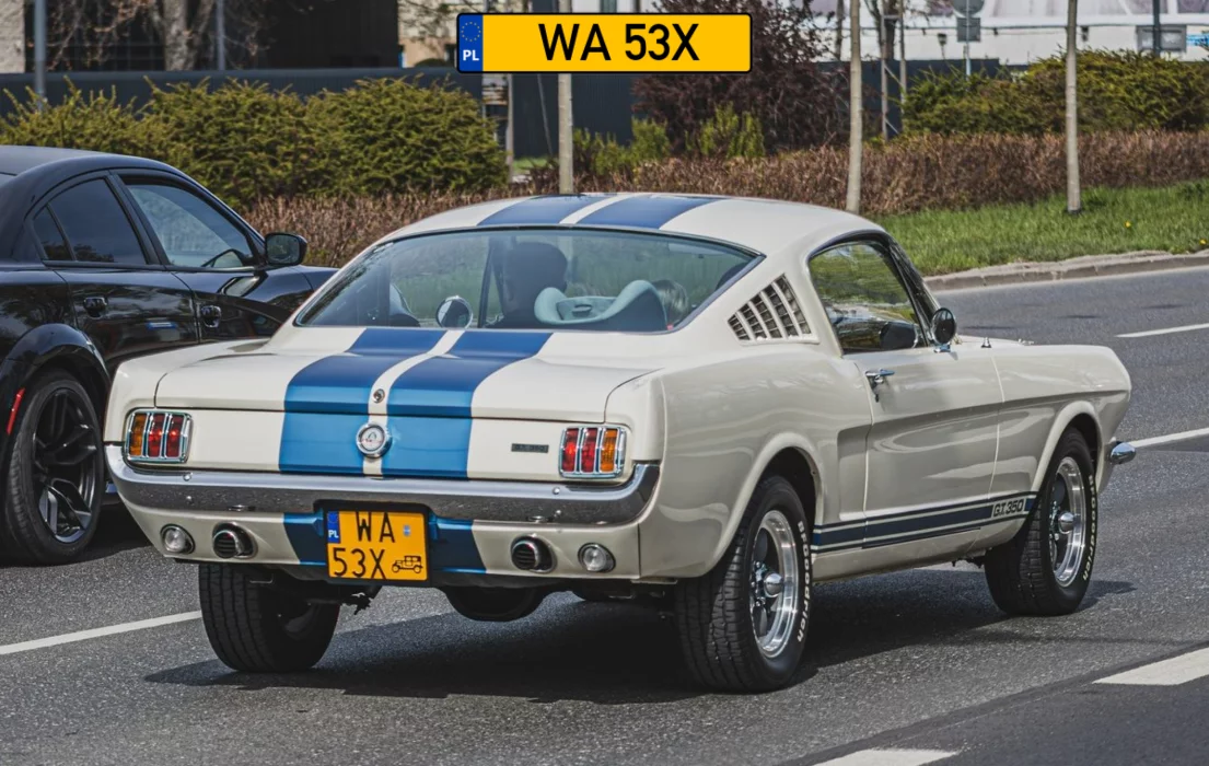 Cooltowy model Ford Mustang Shelby GT350
