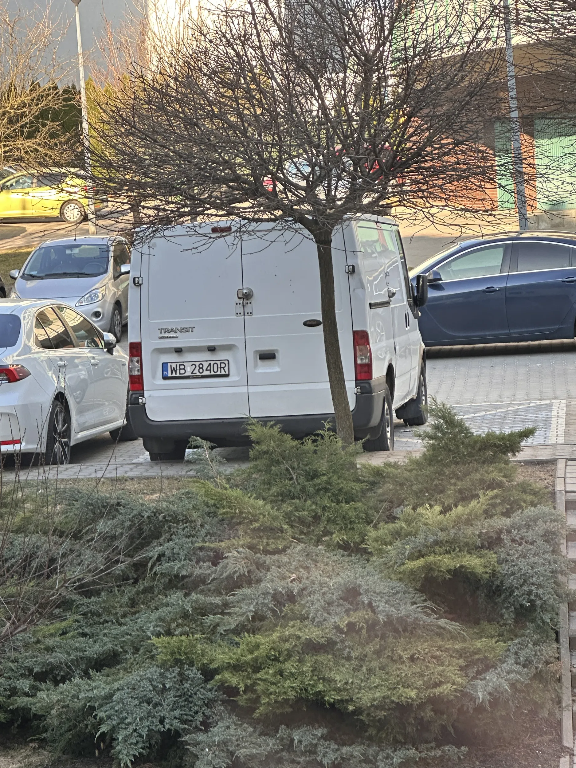 Baran parkuje na miejscu dla niepełnosprawnych