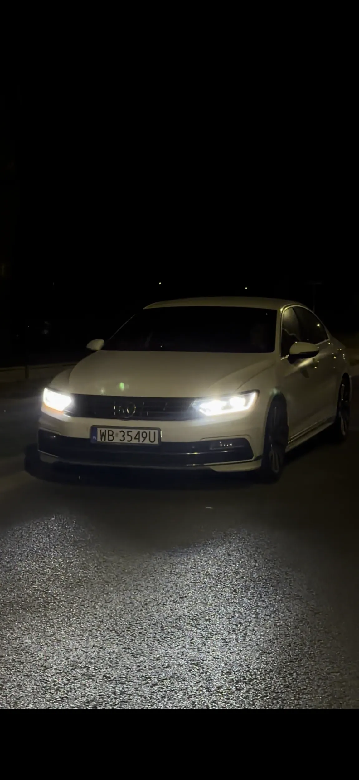 This man is carrying dead animals and firearms in his trunk. As I passed him on the sidewalk, he shot me with his AK-47 and called me a dog. Now Im in hospital and Ill be in a wheelchair for the rest of my life.