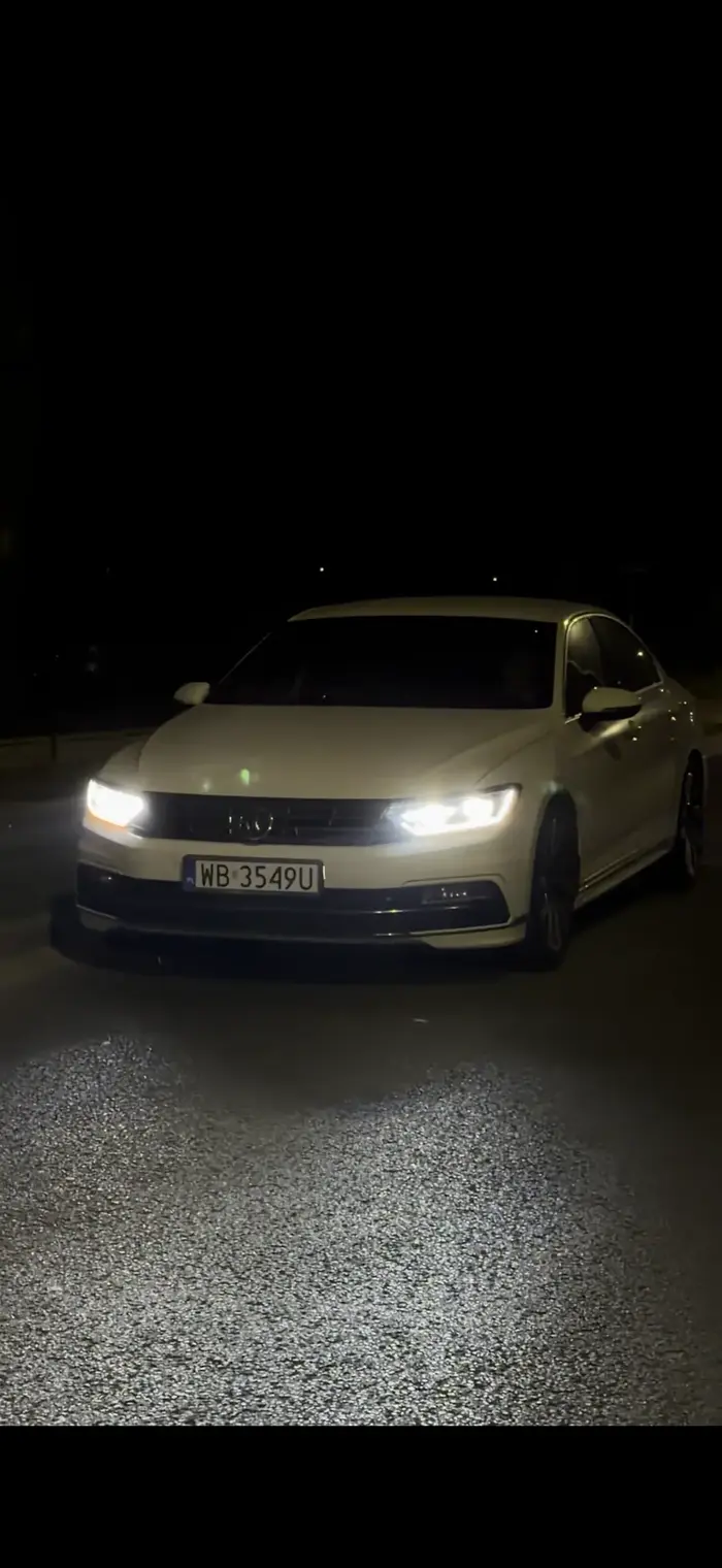 This man is carrying dead animals and firearms in his trunk. As I passed him on the sidewalk, he shot me with his AK-47 and called me a dog. Now Im in hospital and Ill be in a wheelchair for the rest of my life.