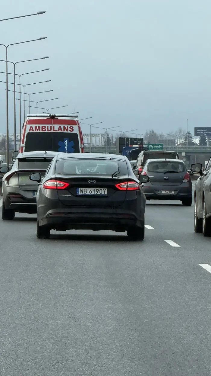 Uwaga zmienia pasy kilka na raz, skacze po nich, siedzi na ogonie