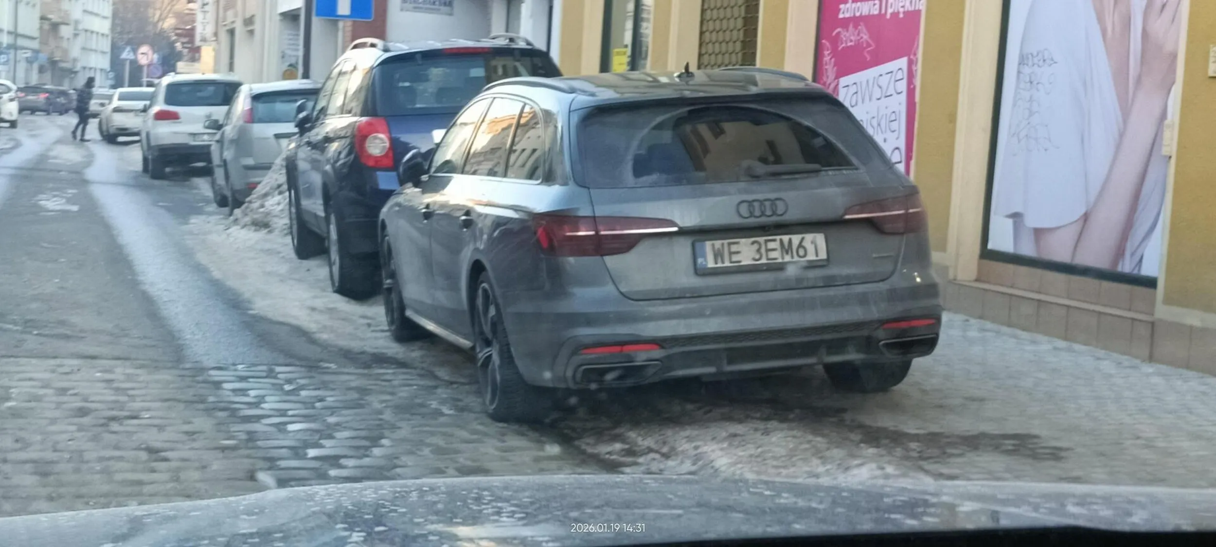 Święta krowa chodnikowa