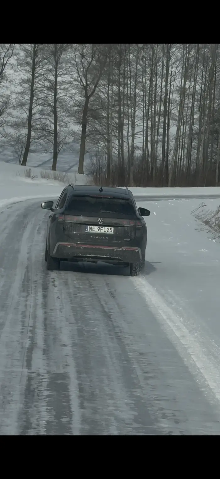 Zwykły cham próbuje wyłudzić odszkodowanie hamuje praktycznie do zera na lodzie
