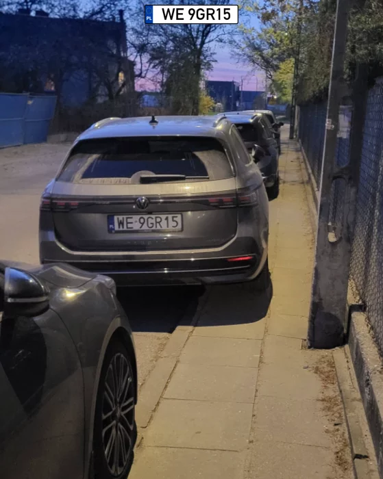 Ważne, że on wyszedł, a piesi ? co piesi... niech sobie chodzą jak chcąc kto im zabrania.