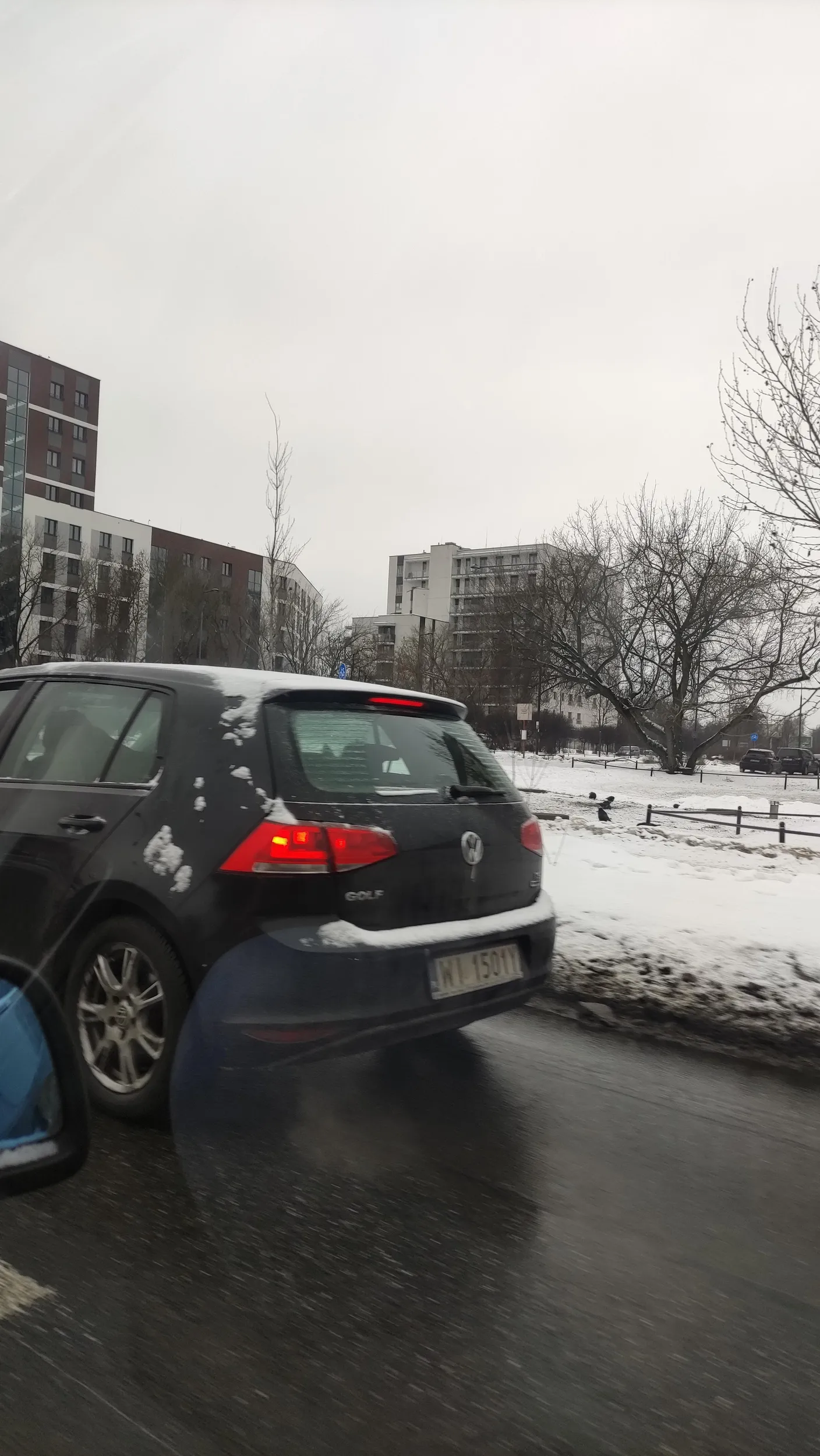 Baran w nie odśnieżonym samochodzie