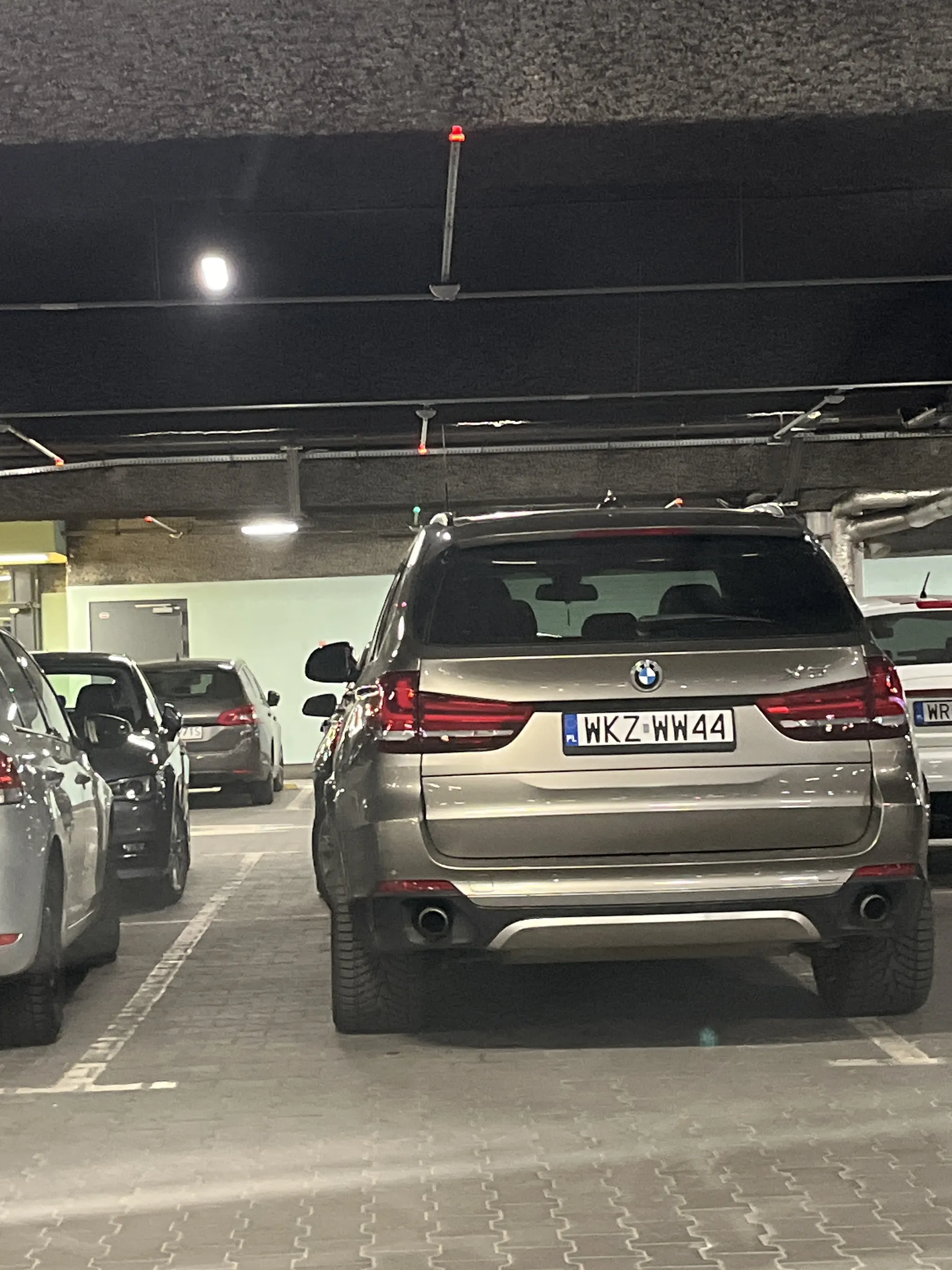 blachy i marka zobowiazuja