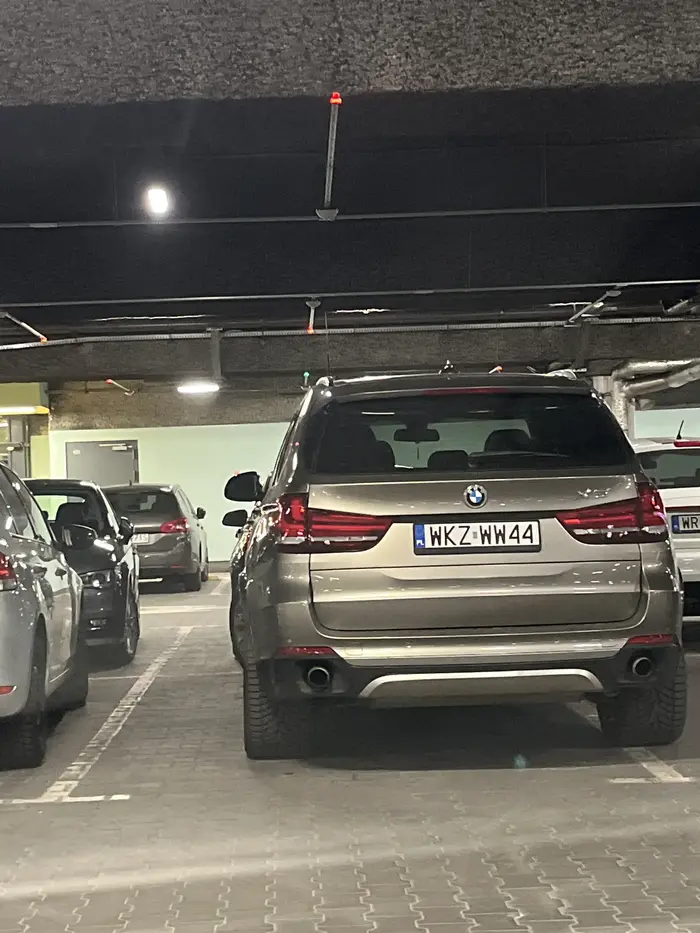 blachy i marka zobowiazuja