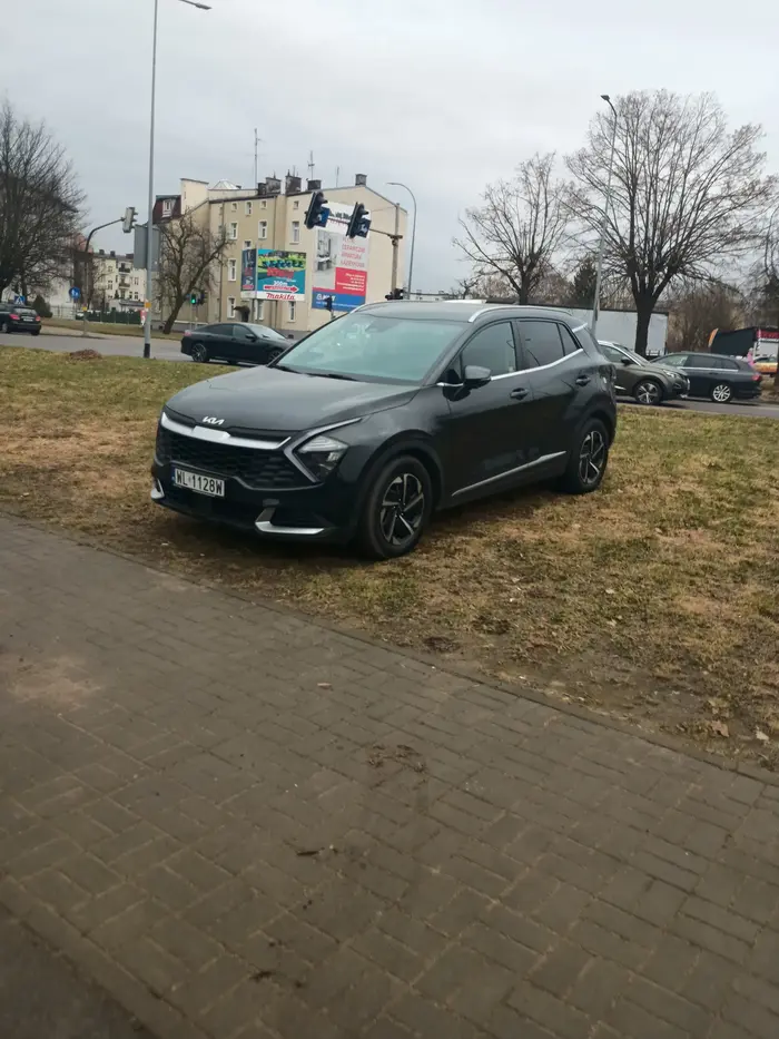 Parkowanie na trawie