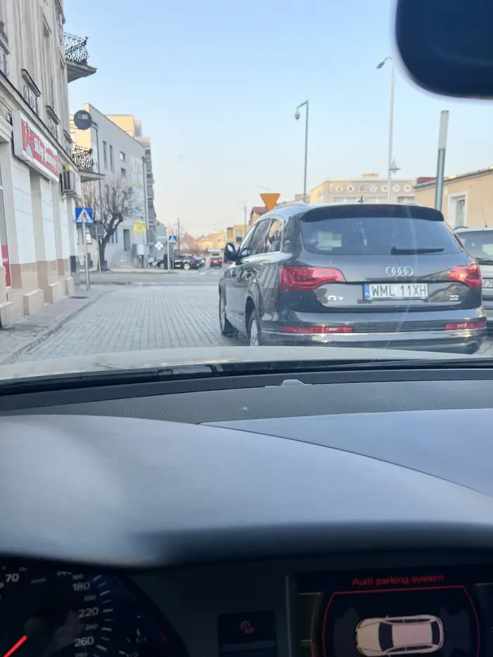 Pani blokuje przejazd dodatkowo jest bardzo arogancka i obraża ludzi którzy ją wytrąbią