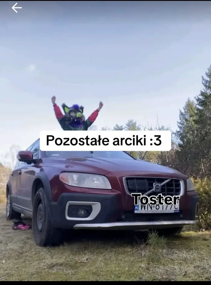 Nie polecam, laska chyba jeździ czerwonym Volvo w masce furrasa, która ogranicza widoczność i nie trzyma nawet kierownicy przez co podczas carspottingu potrąciła mojego kolegę na pasach w Warszawie przy Hotelu Europejskim lecąc bokiem 200 na godzinę. I ma cringe kontent na tik toku btw