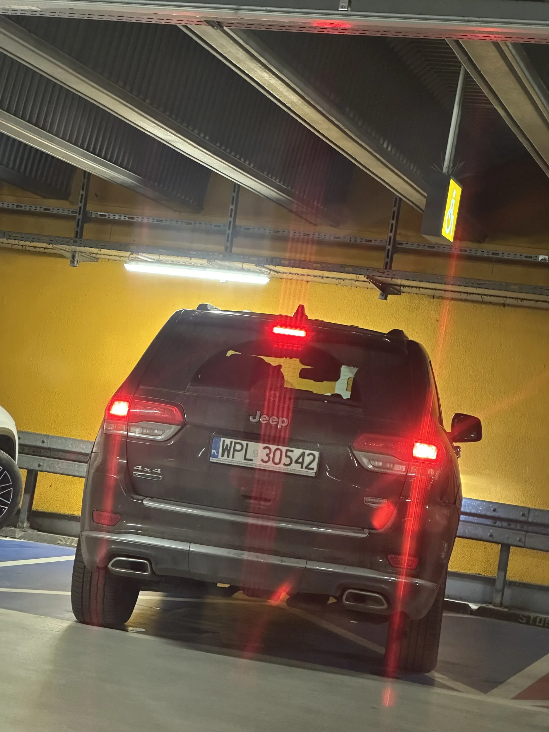 Pani kierowca reprezentuje nieznany stopień niepełnosprawności