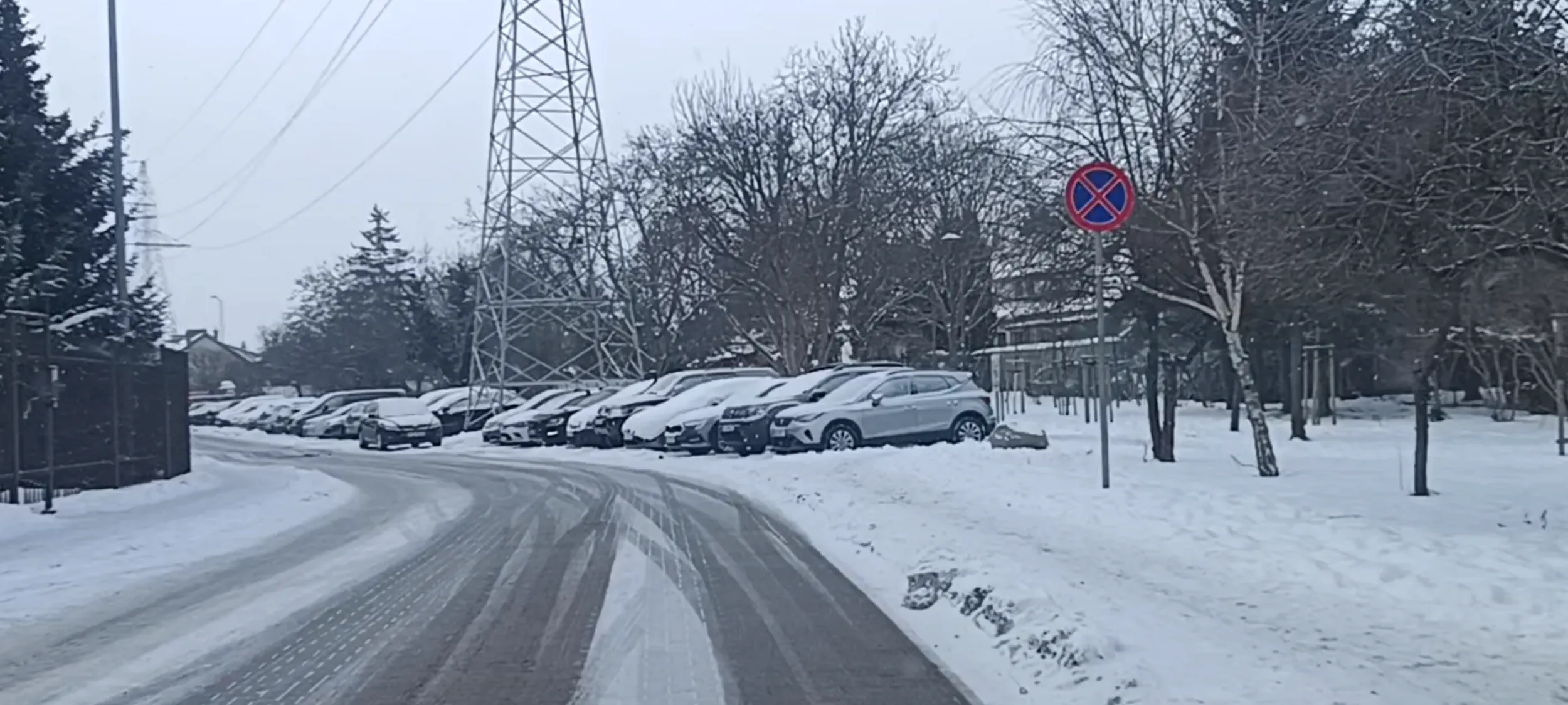 Osioł postawił wraka na zakazie zatrzymywania się i postoju