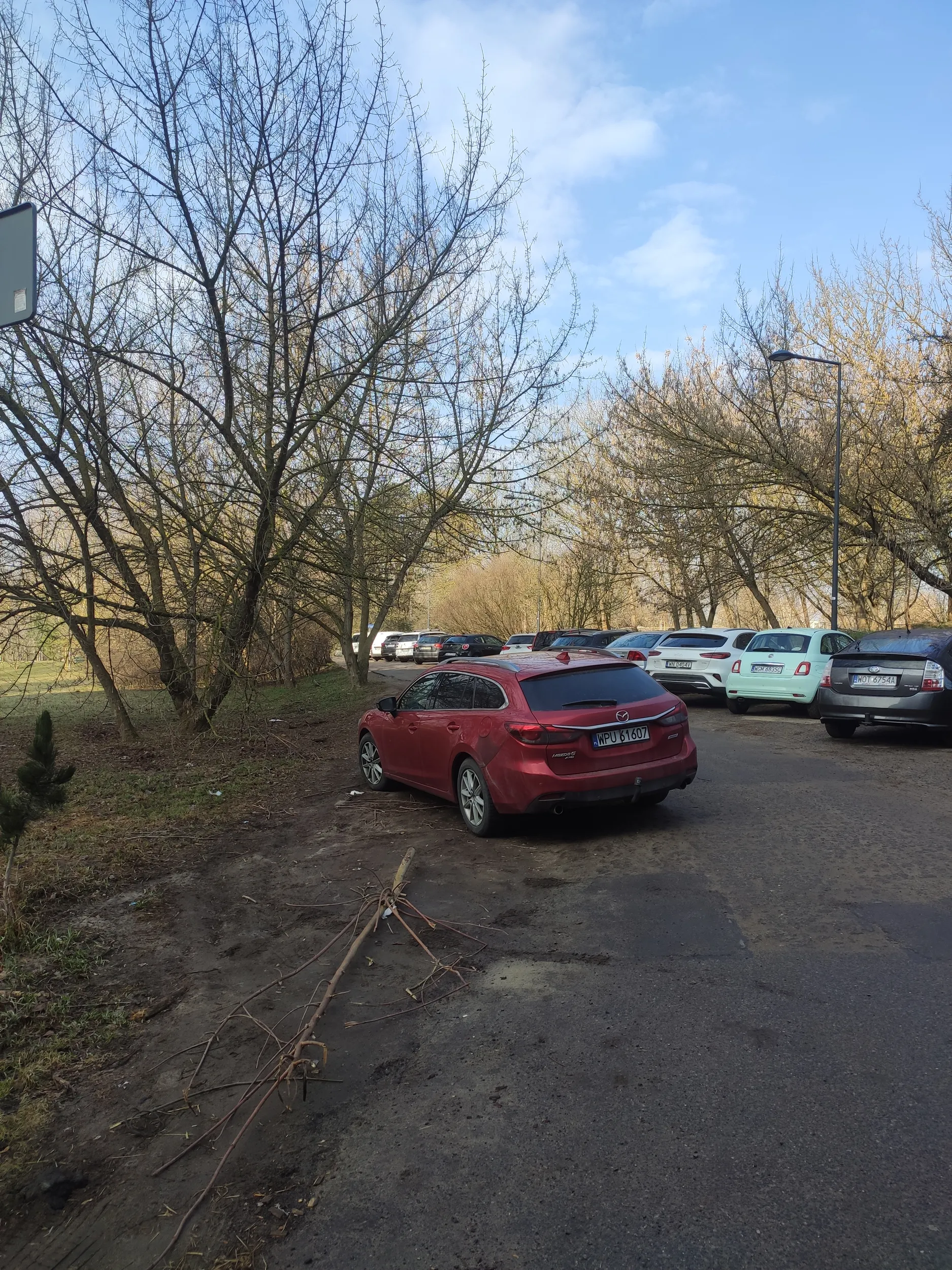 Parkowanie na zieleni